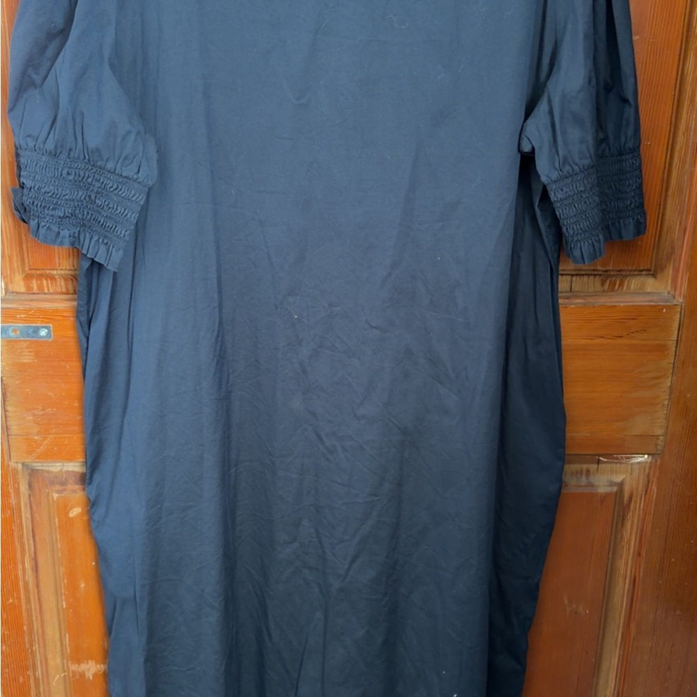 Chico's Black Dress with Back Zip